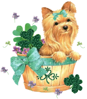 glitter-paddy-dog-source_gx7