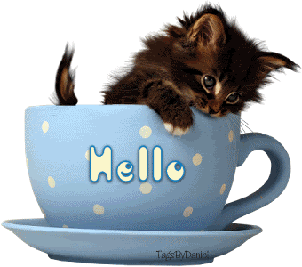 KittyInHelloCup