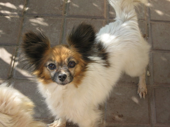 mf_196150698_afad0bbba1f82d97e8edecf97086427e